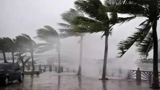 8月臺(tái)風(fēng)雨即將來(lái)，除濕機(jī)還得用起來(lái)