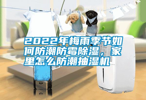 2022年梅雨季節(jié)如何防潮防霉除濕，家里怎么防潮抽濕機