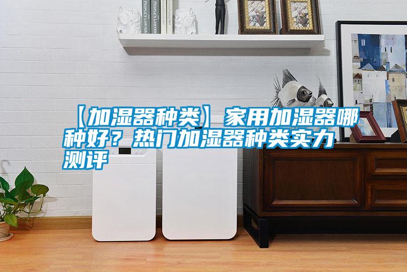 【加濕器種類】家用加濕器哪種好？熱門加濕器種類實(shí)力測評(píng)