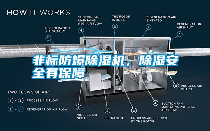 非標防爆除濕機，除濕安全有保障