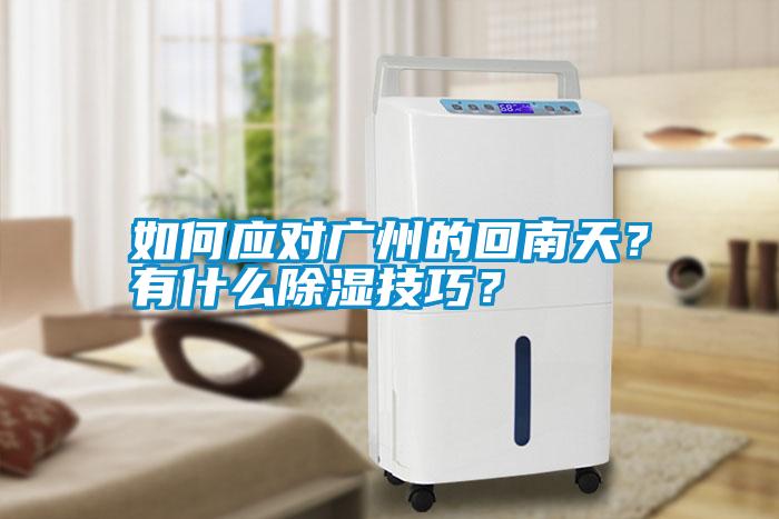 如何應(yīng)對(duì)廣州的回南天？有什么除濕技巧？