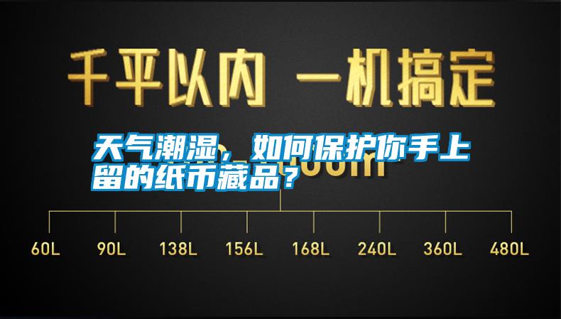 天氣潮濕，如何保護(hù)你手上留的紙幣藏品？