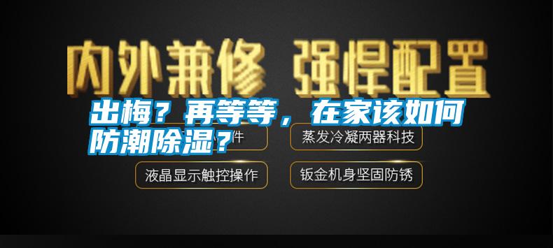 出梅？再等等，在家該如何防潮除濕？