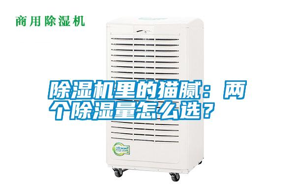 除濕機(jī)里的貓膩：兩個(gè)除濕量怎么選？