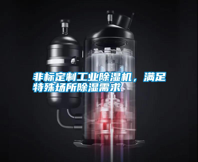 非標定制工業(yè)除濕機，滿足特殊場所除濕需求