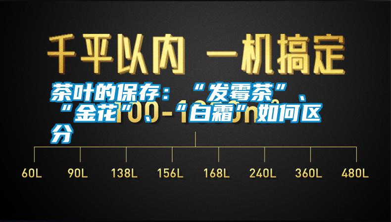 茶葉的保存：“發(fā)霉茶”、“金花”、“白霜”如何區(qū)分