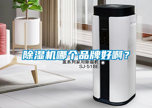 除濕機哪個品牌好??？