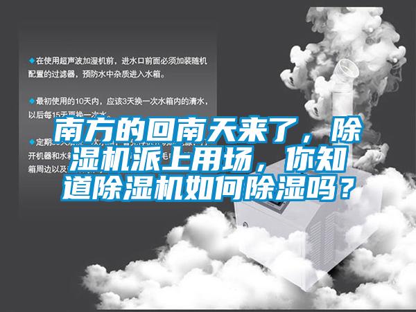 南方的回南天來了，除濕機派上用場，你知道除濕機如何除濕嗎？