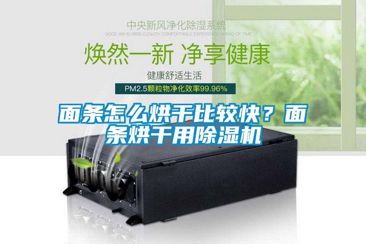 面條怎么烘干比較快？面條烘干用除濕機(jī)