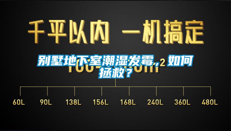 別墅地下室潮濕發(fā)霉，如何拯救？