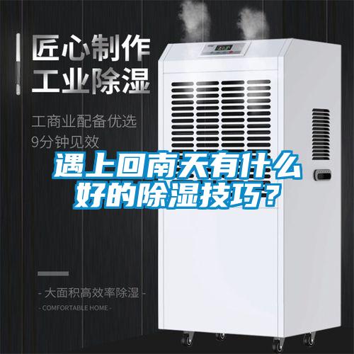 遇上回南天有什么好的除濕技巧？