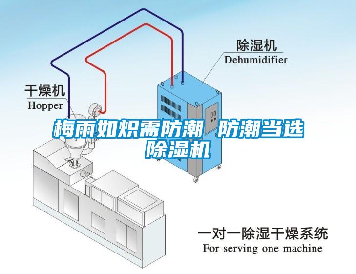 梅雨如熾需防潮 防潮當選除濕機