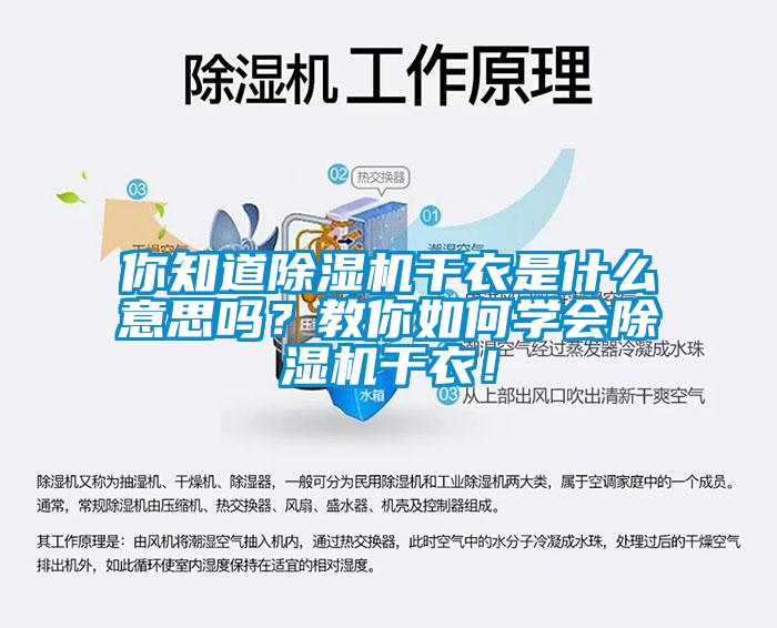 你知道除濕機干衣是什么意思嗎？教你如何學(xué)會除濕機干衣！