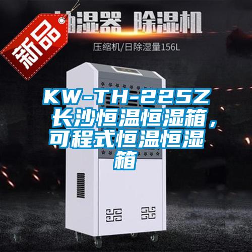 KW-TH-225Z 長(zhǎng)沙恒溫恒濕箱，可程式恒溫恒濕箱