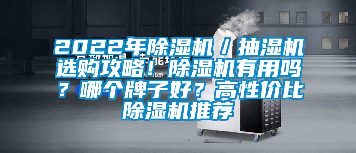 2022年除濕機(jī)／抽濕機(jī)選購(gòu)攻略！除濕機(jī)有用嗎？哪個(gè)牌子好？高性價(jià)比除濕機(jī)推薦