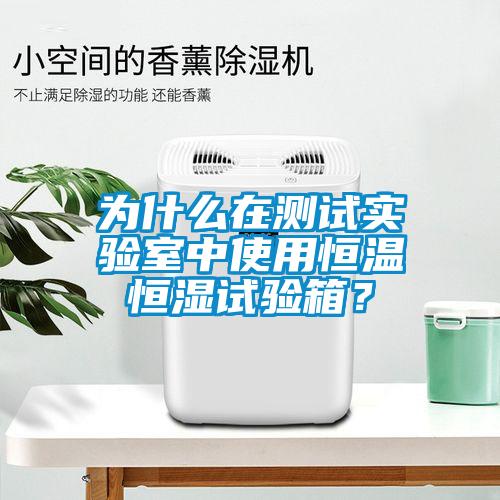 為什么在測(cè)試實(shí)驗(yàn)室中使用恒溫恒濕試驗(yàn)箱？