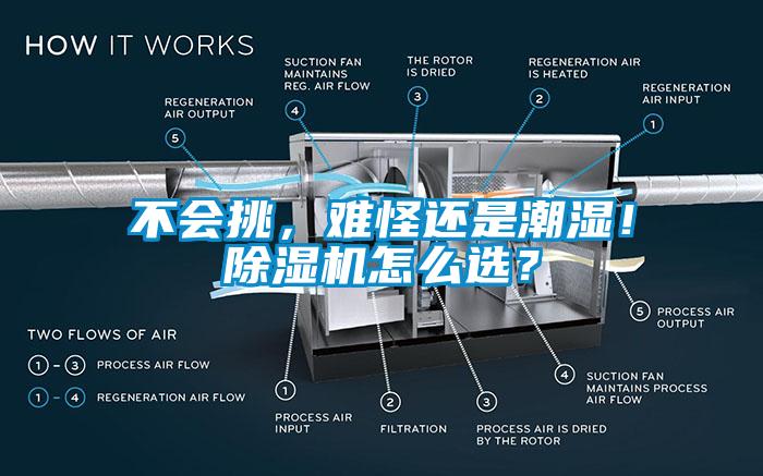 不會(huì)挑，難怪還是潮濕！除濕機(jī)怎么選？