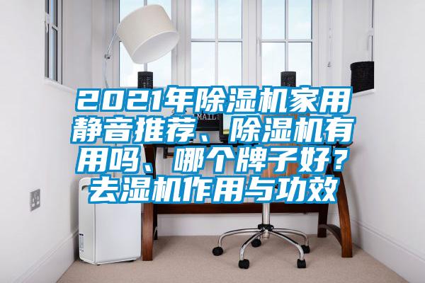 2021年除濕機家用靜音推薦、除濕機有用嗎、哪個牌子好？去濕機作用與功效