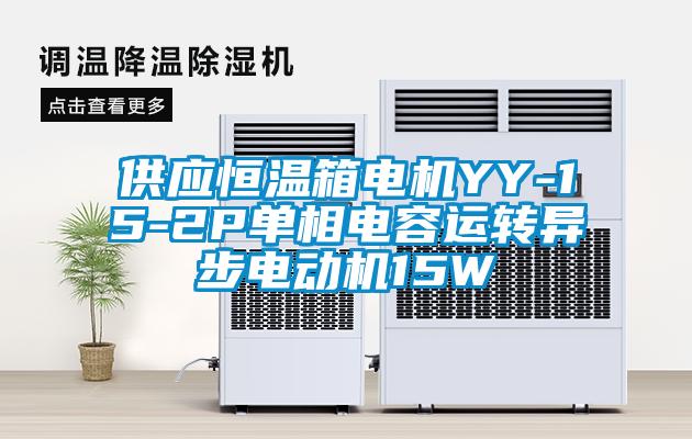 供應(yīng)恒溫箱電機YY-15-2P單相電容運轉(zhuǎn)異步電動機15W