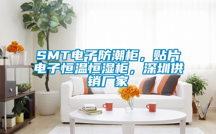 SMT電子防潮柜，貼片電子恒溫恒濕柜，深圳供銷廠家