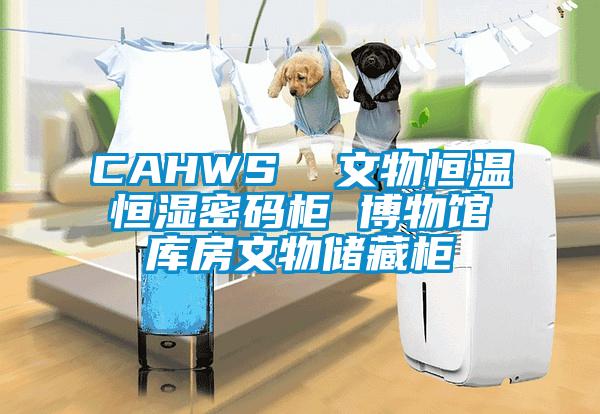 CAHWS  文物恒溫恒濕密碼柜 博物館庫房文物儲藏柜