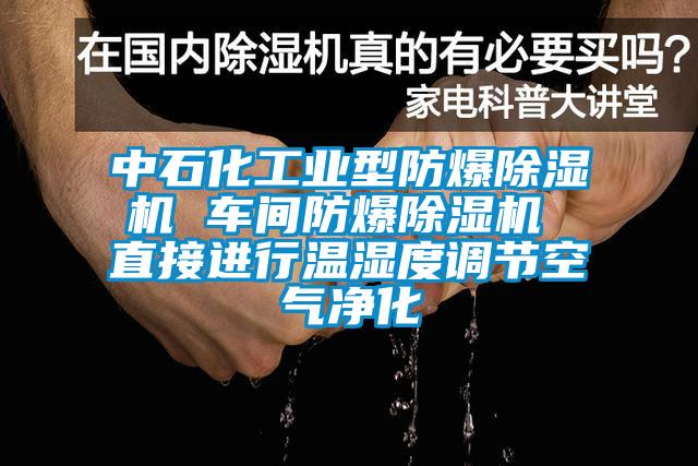 中石化工業(yè)型防爆除濕機 車間防爆除濕機 直接進行溫濕度調節(jié)空氣凈化