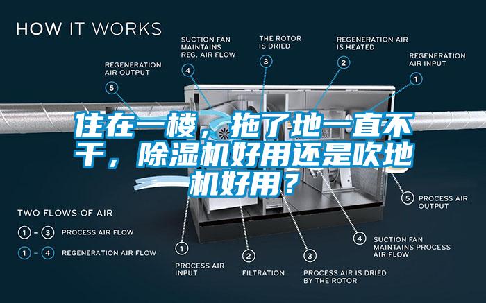 住在一樓，拖了地一直不干，除濕機好用還是吹地機好用？