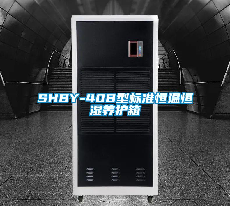 SHBY-40B型標準恒溫恒濕養(yǎng)護箱