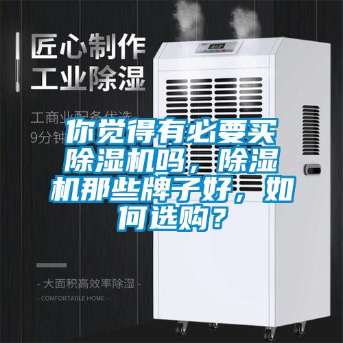 你覺得有必要買除濕機嗎，除濕機那些牌子好，如何選購？