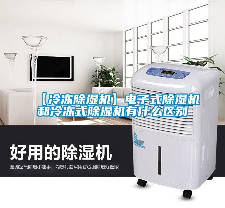 【冷凍除濕機】電子式除濕機和冷凍式除濕機有什么區(qū)別