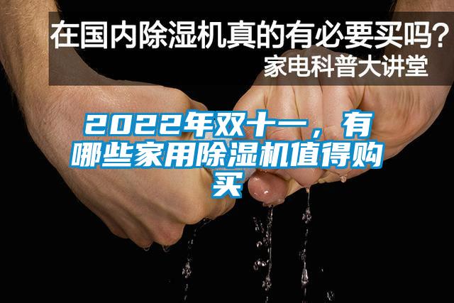 2022年雙十一，有哪些家用除濕機值得購買