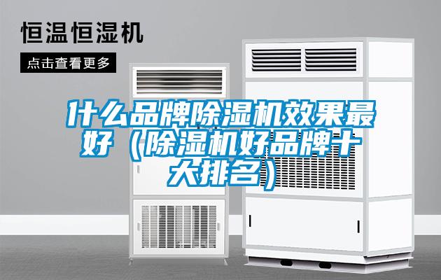 什么品牌除濕機效果最好（除濕機好品牌十大排名）