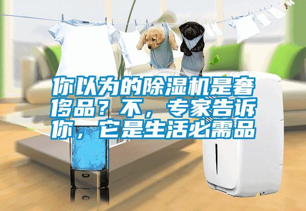 你以為的除濕機是奢侈品？不，專家告訴你，它是生活必需品