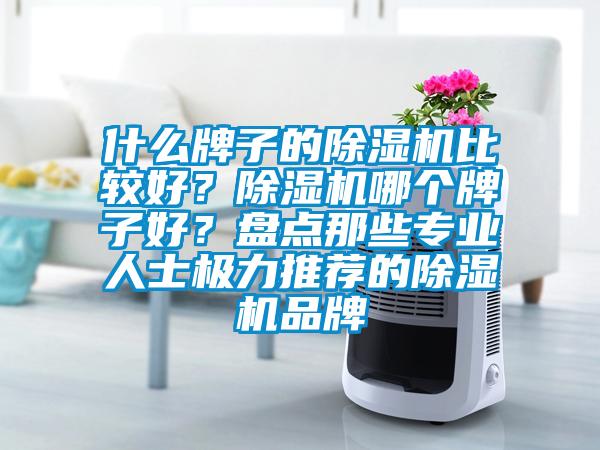 什么牌子的除濕機比較好？除濕機哪個牌子好？盤點那些專業(yè)人士極力推薦的除濕機品牌