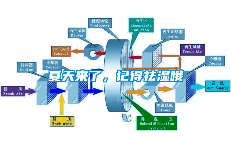 夏天來了，記得祛濕哦