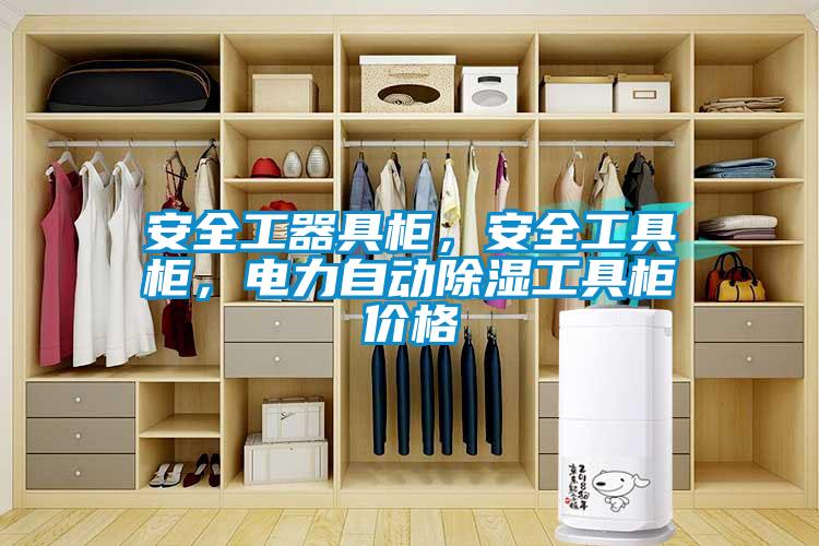 安全工器具柜，安全工具柜，電力自動除濕工具柜價格