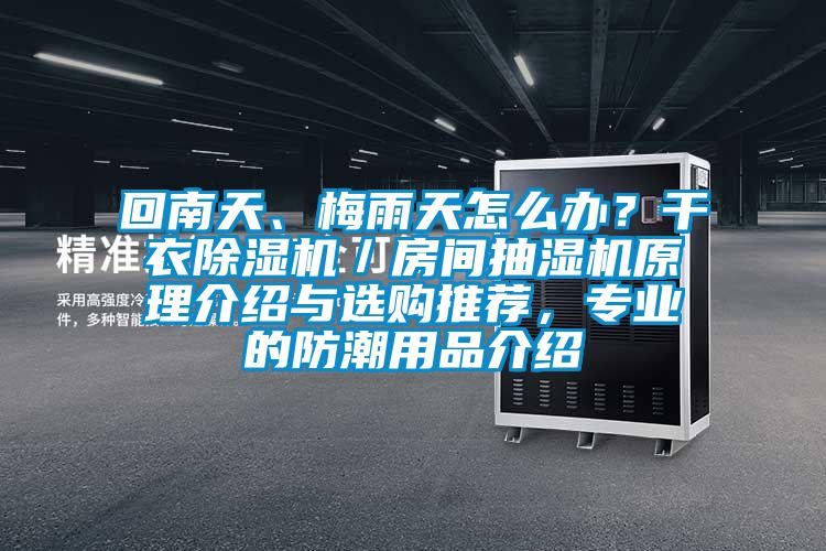 回南天、梅雨天怎么辦？干衣除濕機／房間抽濕機原理介紹與選購推薦，專業(yè)的防潮用品介紹