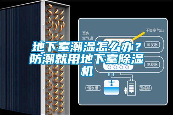 地下室潮濕怎么辦？防潮就用地下室除濕機(jī)