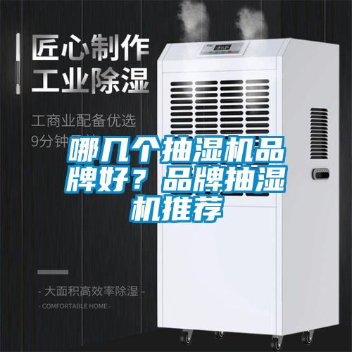 哪幾個(gè)抽濕機(jī)品牌好？品牌抽濕機(jī)推薦