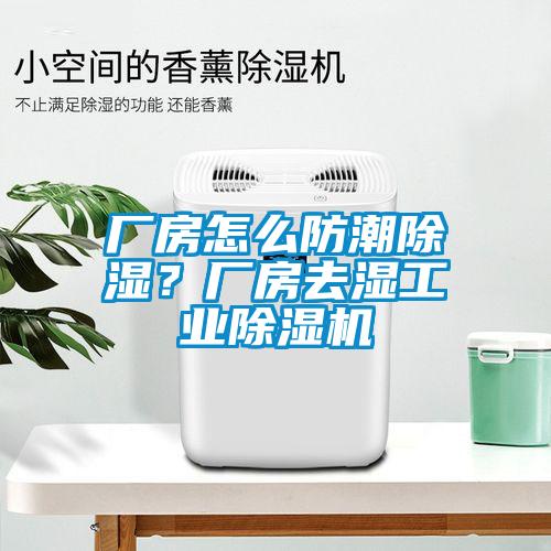 廠房怎么防潮除濕？廠房去濕工業(yè)除濕機(jī)