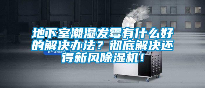 地下室潮濕發(fā)霉有什么好的解決辦法？徹底解決還得新風(fēng)除濕機(jī)！