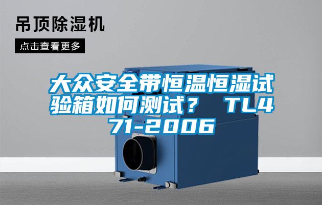 大眾安全帶恒溫恒濕試驗箱如何測試？ TL471-2006