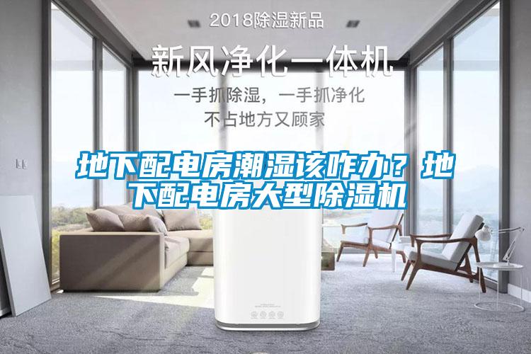 地下配電房潮濕該咋辦？地下配電房大型除濕機(jī)