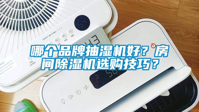 哪個品牌抽濕機(jī)好？房間除濕機(jī)選購技巧？