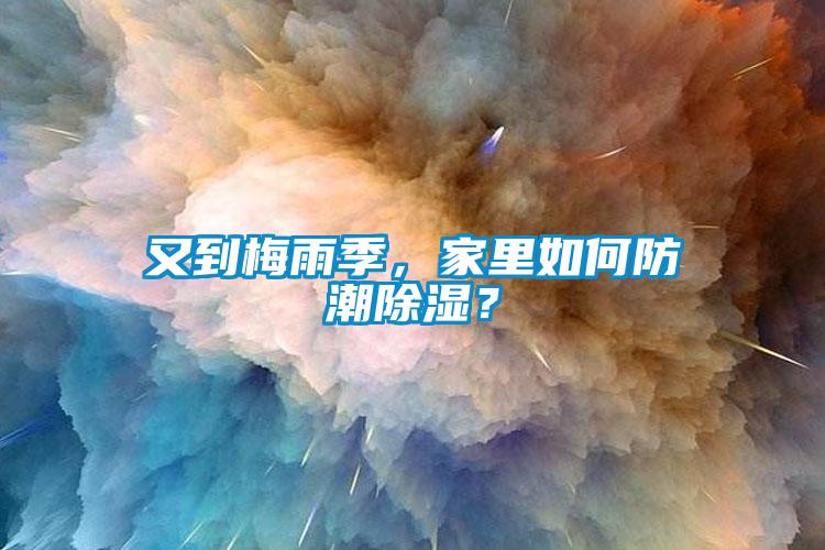 又到梅雨季，家里如何防潮除濕？