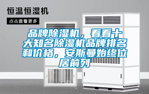 品牌除濕機，看看十大知名除濕機品牌排名和價格，安斯曼始終位居前列