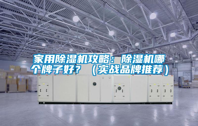 家用除濕機攻略：除濕機哪個牌子好？（實戰(zhàn)品牌推薦）