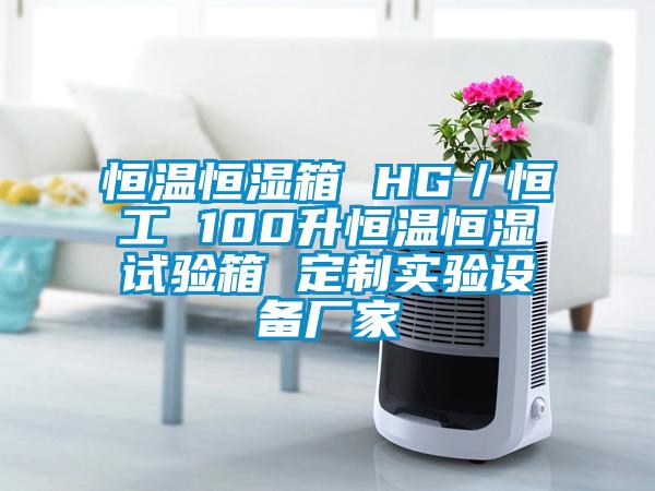 恒溫恒濕箱 HG／恒工 100升恒溫恒濕試驗箱 定制實驗設(shè)備廠家