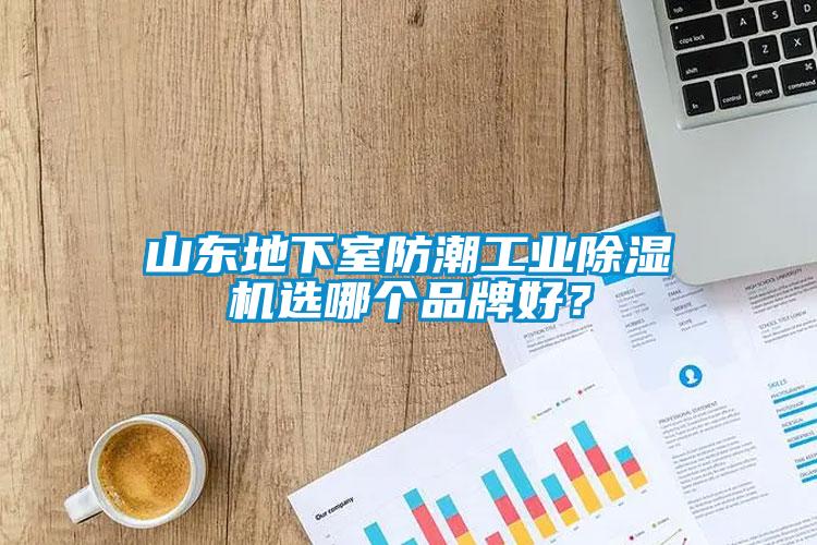 山東地下室防潮工業(yè)除濕機(jī)選哪個(gè)品牌好？