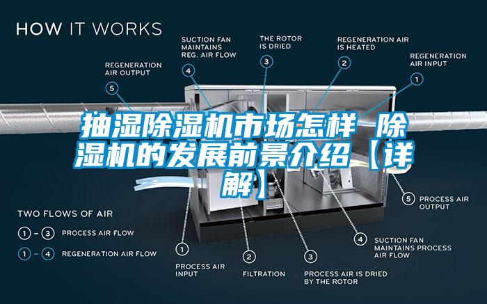 抽濕除濕機(jī)市場怎樣 除濕機(jī)的發(fā)展前景介紹【詳解】